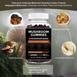 10 Mushroom Blend Gummies